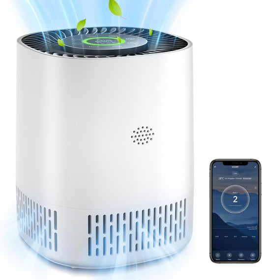 Breathe Easier, Live Better: Introducing the KALINI Air Purifier