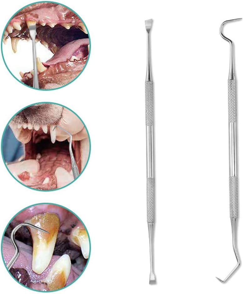 Dog Teeth Cleaning Tools Set for Pets â 8 Pack Stainless Steel