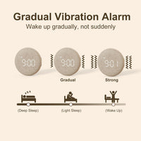 Vibrating Travel Alarm Clock Dual Alarm Heavy Sleepers Compact Black