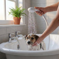 Croydex Shower Head & Hose Push-On 1.2m Rub-Clean Nozzles Compatible with Low/High Pressure â Chrome