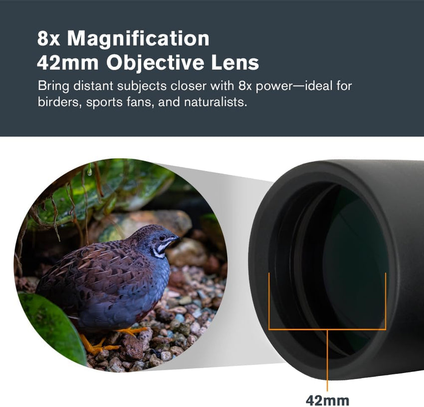 Celestron 71346 8 x 42 Outland X Binocular, Black