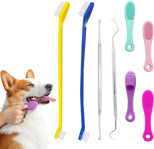 Dog Teeth Cleaning Tools Set for Pets â 8 Pack Stainless Steel