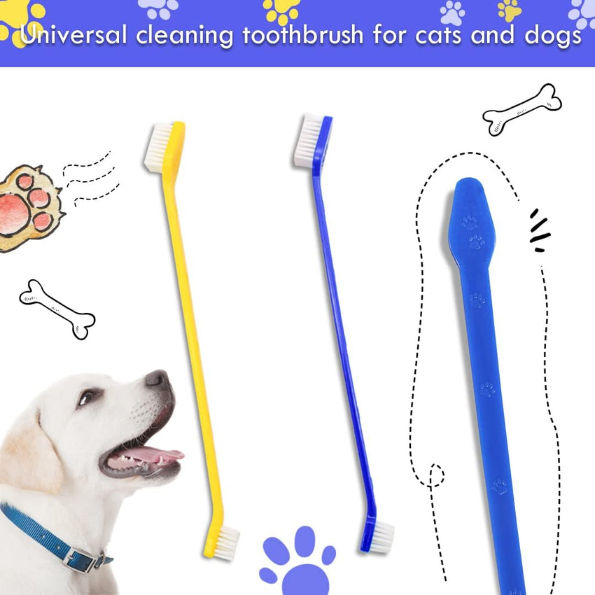 Dog Teeth Cleaning Tools Set for Pets â 8 Pack Stainless Steel