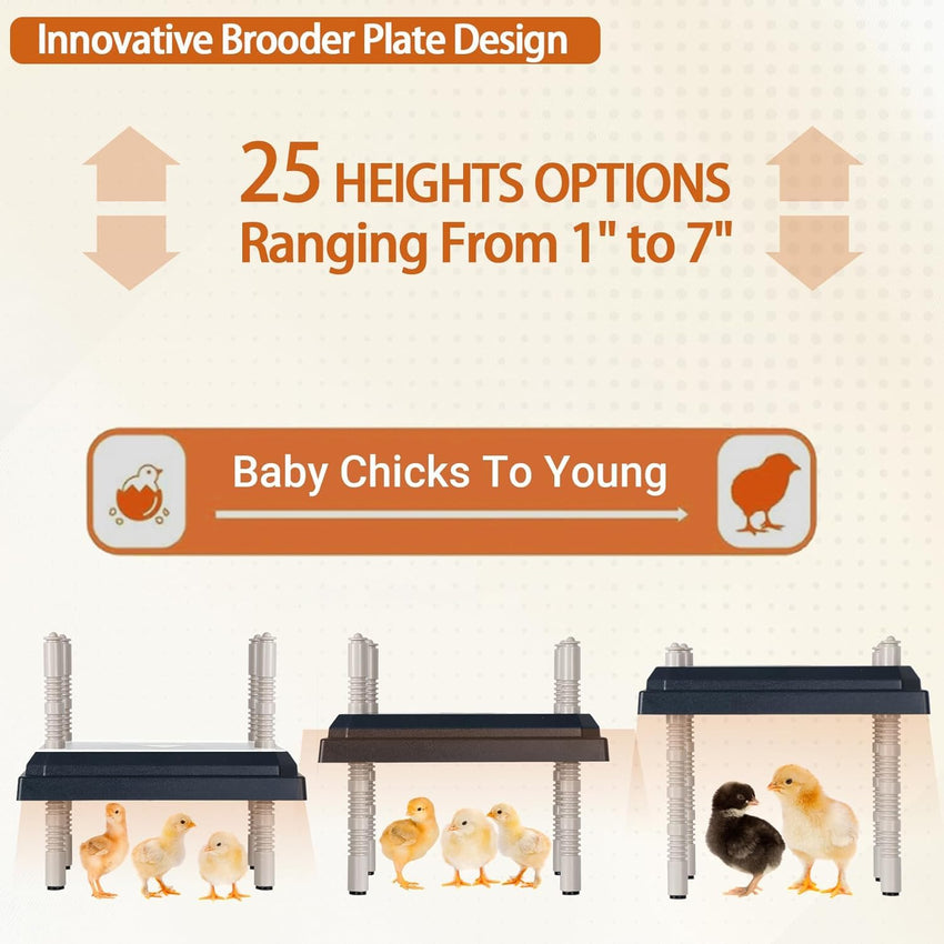 Chick Brooder Heating Plate 10in Adjustable Angle Height Easy Clean Thermostat Black 10Ã10in Safe