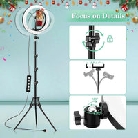 Ring Light with Tripod Stand & Phone Holder - 10 inch Selfie LED Ringlight Dimmable Desktop Lamp 40 Colors RGB Tall Circle Light for Camera Makeup Video YouTube Live Streaming Zoom Meeting