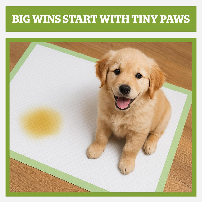 Pogi Dog Training Pads Large 60x60cm Eco-Friendly â 50 Pieces