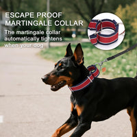 Martingale Dog Collar 4cm 1600D Anti-Escape No-Pull Heavy Duty - Grey-Blue & Black L