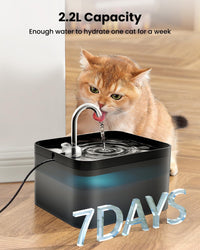 PawPoll Cat Water Fountain Filter Kit, 12 Replacement Filters and 12 Foam Filters