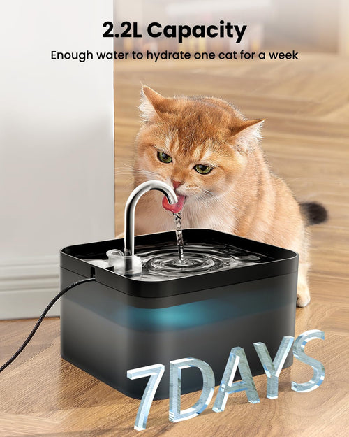 PawPoll Cat Water Fountain Filter Kit, 12 Replacement Filters and 12 Foam Filters