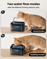 PawPoll Cat Water Fountain Filter Kit, 12 Replacement Filters and 12 Foam Filters
