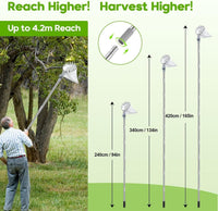 4.2M Apple Picker with Telescopic Handle, Fruit Picker Tool with Basket, Adjustable Head, Lightweight Apple Tree Picker Tool, Easy to Assemble, Aluminium Pole & Fabric Bag for Easy Harvesting