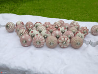 Ceramic Dresser Knobs Assorted Multicolour Decorative Pull Handles Pack of 23
