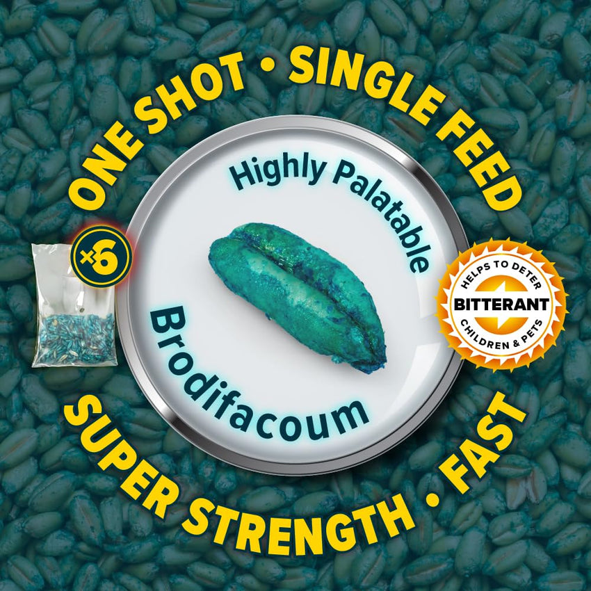 Rat Bait Grain Sachets 6x25g Rodent Control â Pack of 6