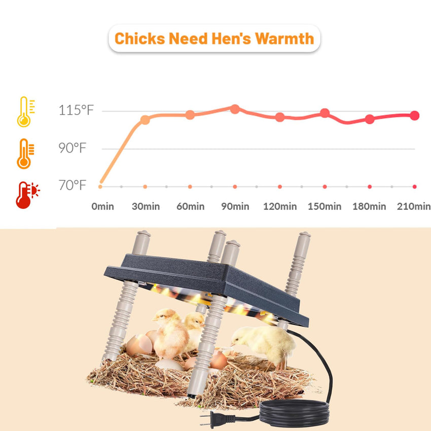 Chick Brooder Heating Plate 10in Adjustable Angle Height Easy Clean Thermostat Black 10Ã10in Safe