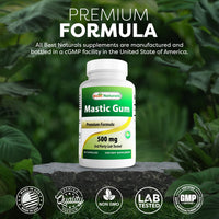 2 Pack - Best Naturals Mastic Gum Capsules 500 mg - 60 Count - (Non-GMO) (Gluten Free) - Promotes Healthy Stomach & Duodenal Health - (Total 120 Capsules)