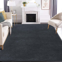 Rururug Large Rugs for Living Room 200x300 cm Rugs Living Room, Microfiber Shaggy Rug, Modern Plain Fluffy Area Rugs Machine Washable Anti-Slip Carpet, Grey Rug