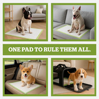 Pogi Dog Training Pads Large 60x60cm Eco-Friendly â 50 Pieces