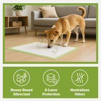 Pogi Dog Training Pads Large 60x60cm Eco-Friendly â 50 Pieces