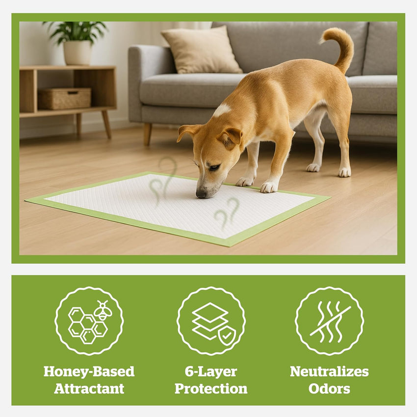 Pogi Dog Training Pads Large 60x60cm Eco-Friendly â 50 Pieces