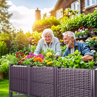 Raised Garden Bed with Reinforcement Rods Elevated Planter Box with Drainage 120 x 40 x 50 cm â Purple Double Layer