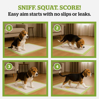 Pogi Dog Training Pads Large 60x60cm Eco-Friendly â 50 Pieces