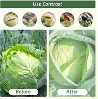 Fine Mesh Garden Insect Netting Plant & Greenhouse Protection Ã¢ÂÂ 3 x 15m