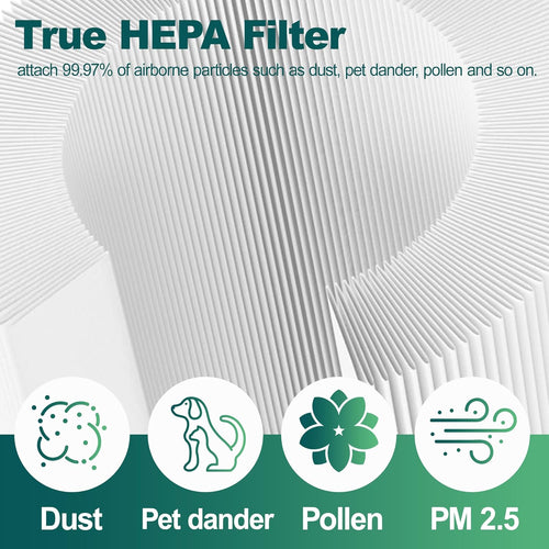 Core Mini-RF Replacement Filter 2 Pack H13 True HEPA