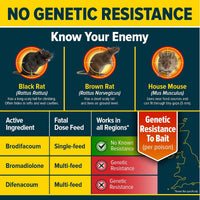 Rat Bait Grain Sachets 6x25g Rodent Control â Pack of 6