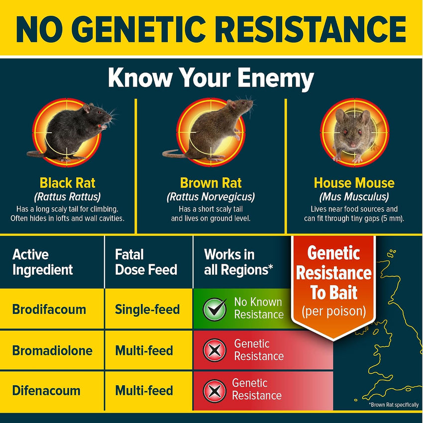 Rat Bait Grain Sachets 6x25g Rodent Control â Pack of 6