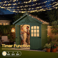 Ollny 100m 1000 LED Outdoor Christmas Lights with Remote/Timer â Cool White