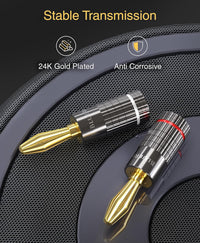 BlueRigger Banana Plugs 2 Pairs / 4 pcs (Closed Dual Screw) - 4 Pack Gold Plated Speaker Plugs Connector for Speaker Wire, Amplifier, Receiver, Banana Wall Plate, Home Theater