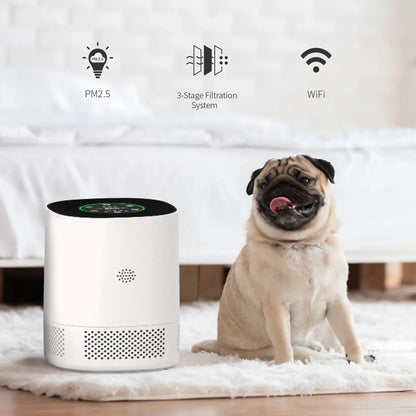 KALINI Air purifier 360 3-in-1 HEPA filter, App control Auto & Sleep modes