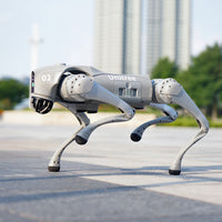 Unitree Go2 Air Robot
